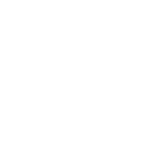 logo fête